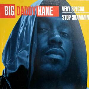 DEBRA LAWS 極上のカヴァー US ORIGINAL盤 ☆ Big Daddy Kane Very Special / Stop Shammin