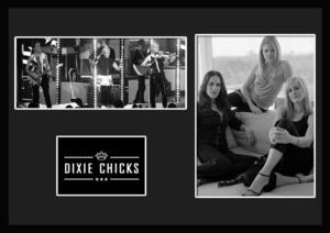 10種類!Dixie Chicks/ディクシー・チックス/ROCK/ロックバンドグループ/証明書付きフレーム/BW/モノクロ/ディスプレイ(5-3W)