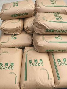 令和5年 茨城 茨城県産 JGAP認定農場　特別栽培米　こしひかり コシヒカリ 無農薬 2kg 低温貯蔵庫 精米済み 真空パック ご飯
