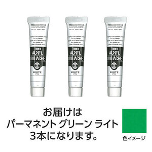 【3本×5セット】 ターナー色彩 アクリルガッシュ 20ml 42パーマネントGRライト TURNER108447X5 /l