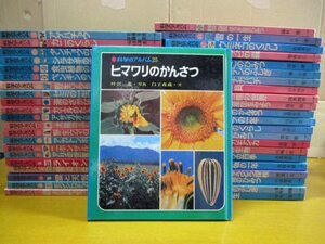 【図鑑】《不揃い まとめて44点セット》科学のアルバム あかね書房 モンシロチョウ ライオン ペンギンのくに 食虫植物のひみつ 他