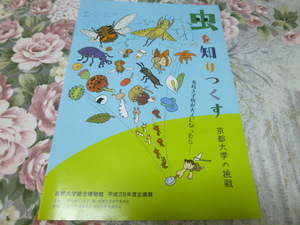 送料込み! 「虫を知りつくす　京都大学の挑戦」企画展 図録　　2016年　(京大・昆虫学・生物学・展示会