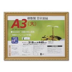 【特別価格】樹脂製 金色賞状額 金消 R SP A3 大） 収納寸法：318×440mm 賞状 額 表彰状 卒業証書 免許書 許可証 額縁 フレーム