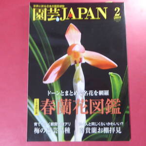 YN4-241219☆園芸JAPAN 2019年2月号　富貴蘭 春蘭 梅 ※ 自然と野生ラン