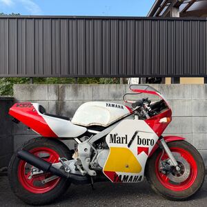 即決！YAMAHA YSR50 バイク屋さんの倉庫より新車発掘！！オイルもガソリンもバッテリー液すら入れた事がありません！！しかし、、、