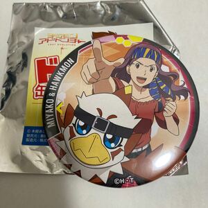 デジモンアドベンチャー LAST EVOLUTION 井ノ上京　ホークモン　ドでか缶バッジ