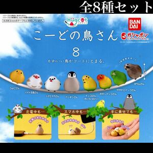 ■送料無料■ こーどの鳥さん 8 全8種セット /ひよこ/パイド文鳥/シマエナガ/ペンギン/インコ/ヨウム/トリ/小鳥/コードの鳥さん/ガチャ