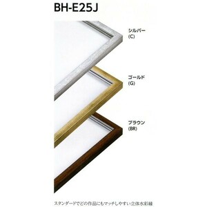 デッサン用額縁 樹脂製フレーム BH-E25J サイズ八ッ切