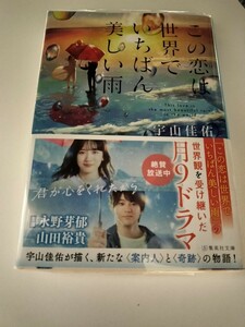 この恋は世界でいちばん美しい雨　集英社文庫　　帯付き　2024年第7刷発行　宇山佳佑 送料180円　表紙・永野芽郁　山田裕貴