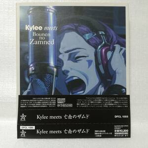 Kylee meets 亡念のザムド 期間生産限定盤 ややヤケ