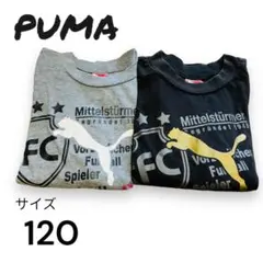 PUMAロンT2枚セット