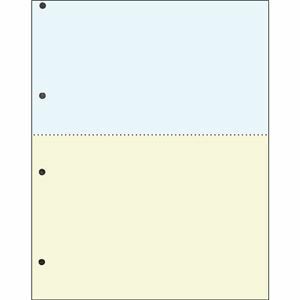 【新品】TANOSEE 汎用マルチタイププリンタ帳票 カラー用紙 A4 2分割 4穴 1箱（2500枚：500枚×5冊）