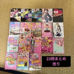 ケータイ小説野いちごなど23冊まとめ売り