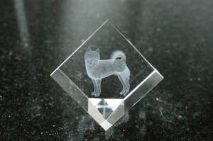 ★柴犬（犬）★3D LASER ART CRYSTAL　レーザークリスタル★Y