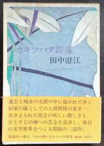 田中澄江『カキツバタ群落』講談社