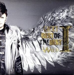 BEST OF THE BEST vol.1-WILD-(Blu-ray Disc付)/Gackt