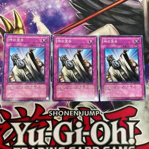 遊戯王　神の宣告　SD14-JP034 ノーマル　3枚セット