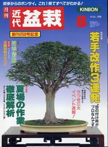 【近代盆栽】1998.08★若手改作3連発 ★夏場の作業徹底解析