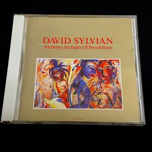 国内盤 DAVID SYLVIAN デヴィッド・シルヴィアン Alchemy-An Index Of Possibilities CD