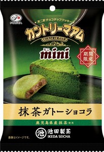 不二家 カントリーマアムミニ 抹茶ガトーショコラ 42g×10袋