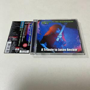 国内盤 帯付 WARMTH IN THE WILDERNESS VOL.Ⅱ A TRIBUTE TO JASON BECKER ジェイソンベッカートリビュート VOL.2/2枚組