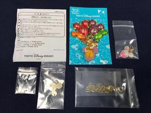 ディズニーリゾート ☆ 30周年 バルーン バッグチャーム キーホルダー キーホルダー ☆ デイジー