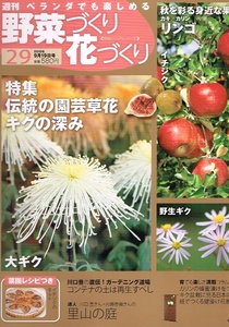 ベランダでも楽しめる 野菜づくり花づくり　No.29　キク 他 【雑誌】