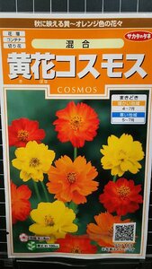 ３袋セット 黄花 コスモス 混合 秋桜 種 郵便は送料無料