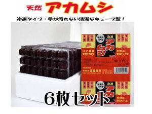 冷凍餌 富城物産 天然アカムシ 100gx6枚セット 　赤虫 冷凍エサ（1枚250円） クール便60