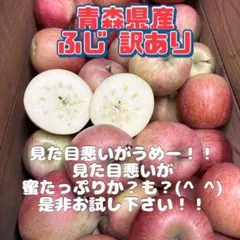 青森県産 りんご ふじ 訳あり 10キロ