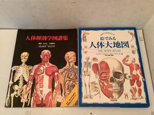 k626 人体解剖学図譜集＋絵でみる人体大地図 2冊セット アプライ 同朋舎出版　　2Hb1