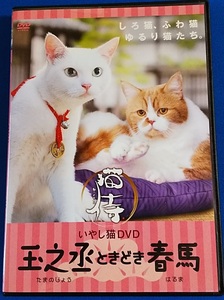 DVD いやし猫　玉之丞ときどき春馬　FMDS-5225-L レンタル禁止