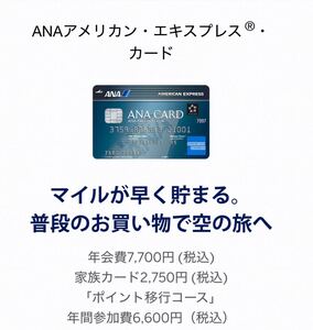 【正規紹介】ANAアメリカン・エキスプレス・カード 特典23,000ポイント AMEX 審査緩 ブラック 外国籍 低収入 主婦 歓迎