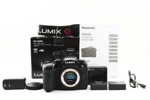 ★☆良品 パナソニック Panasonic LUMIX DC-G99 付属品完備☆★