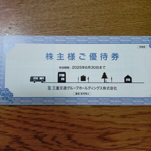 【送料無料】 三重交通 株主優待 100株1冊 