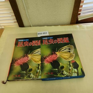 B50-053 小学館の昆虫の図鑑 学習図鑑シリーズ 2 