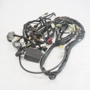 通電OK ビモータ SB6R メインハーネス ハーネス SB6-R bimota 504990010 mainharness