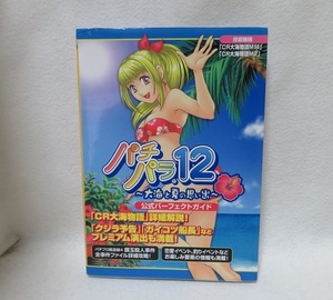 【PS2】 パチパラ12~大海と夏の思い出~公式パーフェクトガイド ★★USED攻略本　初版発行　送料無料★ ＣＲ大海物語　イベント解説満載！