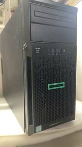 ジャンク現状BIOS起動済　HP ProLiant ML30 Gen9 Xeon E3-1220 V6 3.00GHz/OS無し/Setup起動確認/BIOSできます/通電できます　