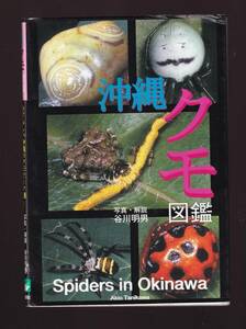 沖縄クモ図鑑　めずらしい沖縄のクモ217種　谷川明男　文葉社　(蜘蛛図鑑　沖縄県産クモ