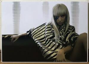 【 LADY GAGA PHOTO ART レディー・ガガ フォト アート パネル 】CARDBOARD ボーン・ディス・ウェイ BORN THIS WAY ポスター 来日 GUCCI