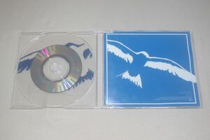 〇♪RAYMONDS　青い鳥　CD盤