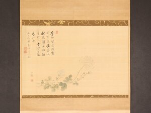 【模写】【伝来】cj5377〈黄泉無著 田中訥言〉菊画賛 曹洞宗皓台寺21世 江戸時代後期 復古大和絵派の祖 愛知の人