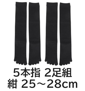 25.26.27.28cm ネイビー 5本指 2足組 ミズノ 紺 野球 アンダー ストッキング ソックス 靴下 セット