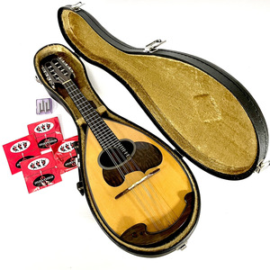 【未使用に近い/激レア】SUZUKI スズキ M-50 マンドリン Master Hand SUZUKI VIOLIN NAGOYA mandolin 鈴木楽器製作所 M-60 M-80 の兄弟楽器