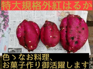 24㌔R6年訳ありBC級品です茨城県紅はるか超特大&手のひらサイズ甘熟サツマイモ