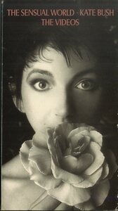 H00023213/VHSビデオ/Kate Bush「The Sensual World」