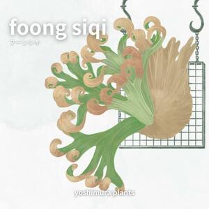 [胞子] foong siqi ビカクシダ フーンシキ