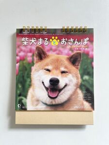 ☆2025年・令和7年版 カレンダー☆　卓上　柴犬まるとおさんぽ