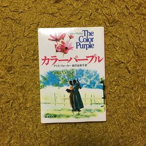 ピューリッツァー賞 カラーパープル/アリス ウォーカー☆文学 社会 時代 差別 人種 人生